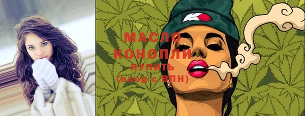 spice Богородск