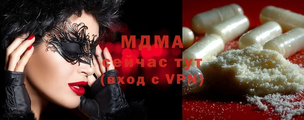 spice Богородск